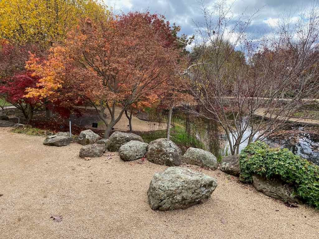 May 2023 Bathurst Mayfield Garden Tour Image -64605b1fa98a7